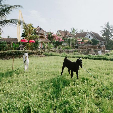 The Rice Joglo Eco-Stay Ubud Exterior foto